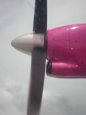 P7230105_resize.JPG
